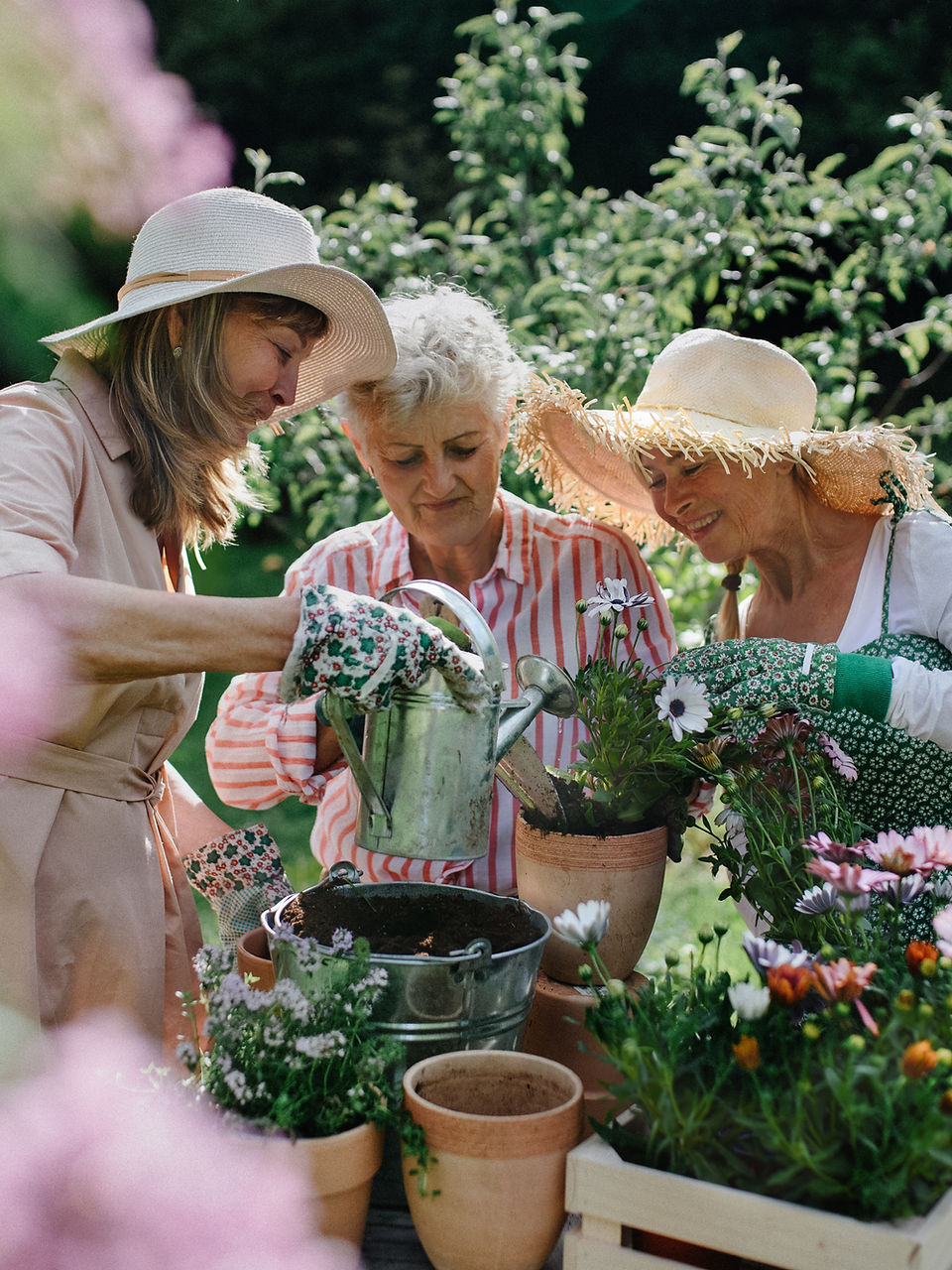 Three women gardening together among flowers