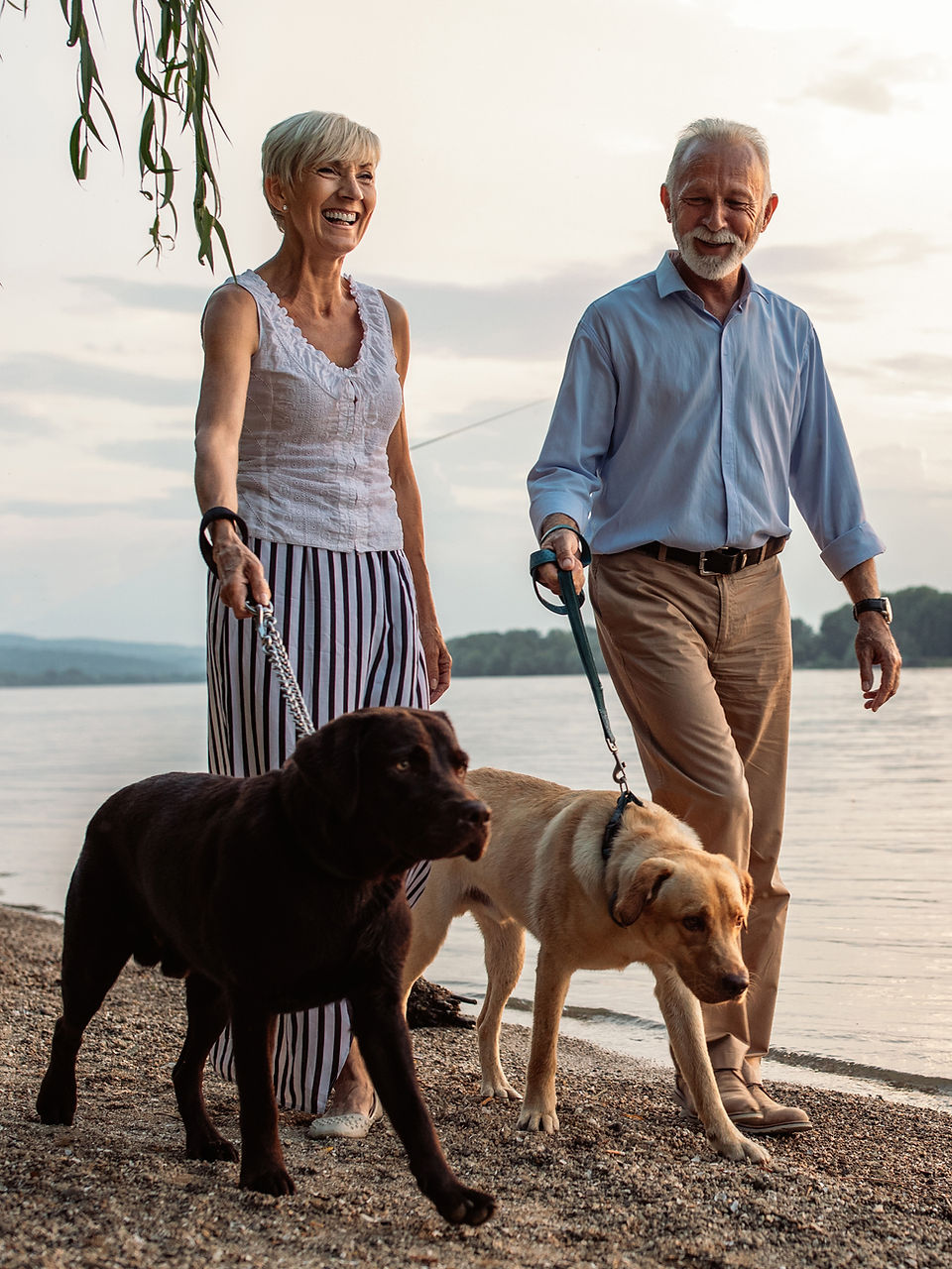 Older couple walking their dogs along a lakeshore