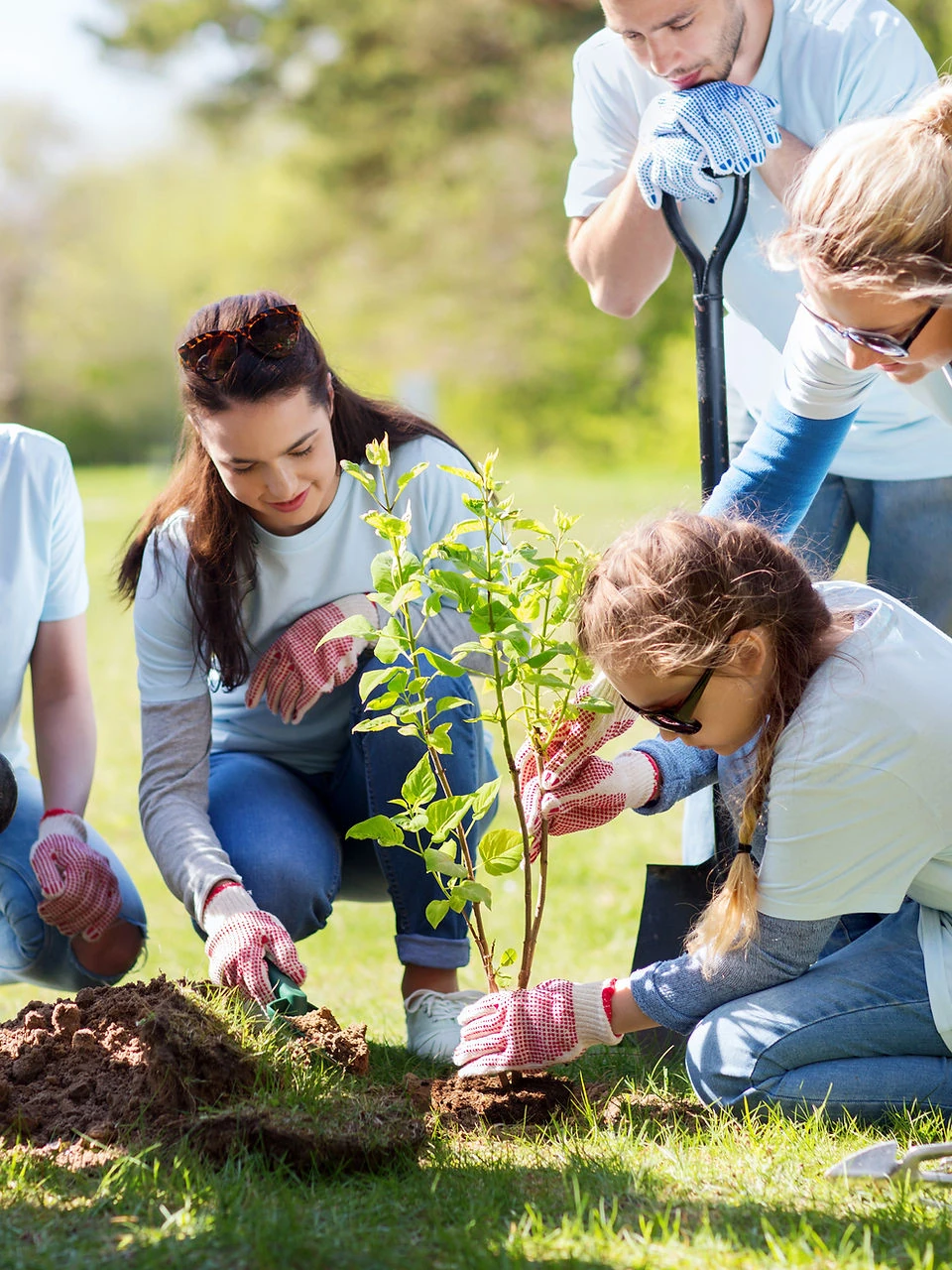 Family and friends planting a tree together in a park